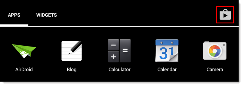 Google Play Store Icon