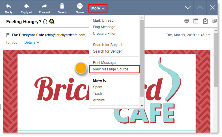 AOL More Options View Message Source