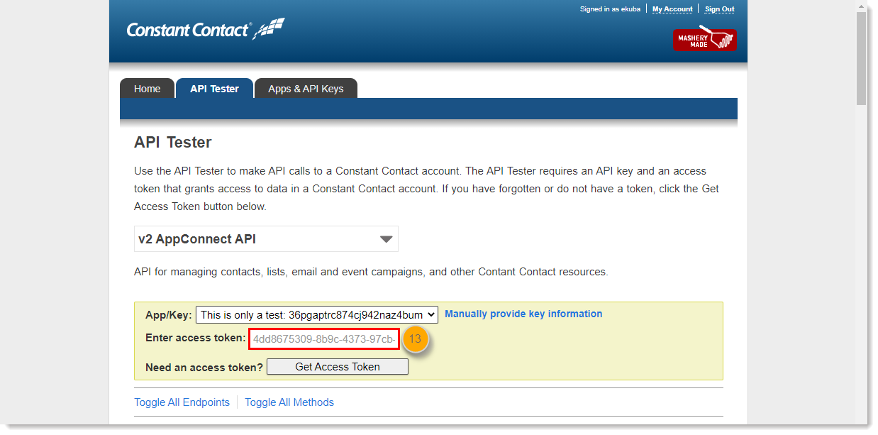 v2 API Developer Portal with API Tester tab selected, and Enter access token field