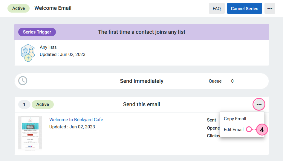 Welcome Email in Active status, Send this email section menu expanded, and Edit Email option