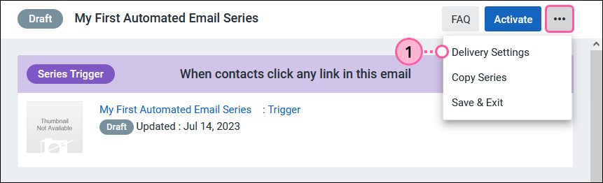 More Drop-down and Delivery Settings option