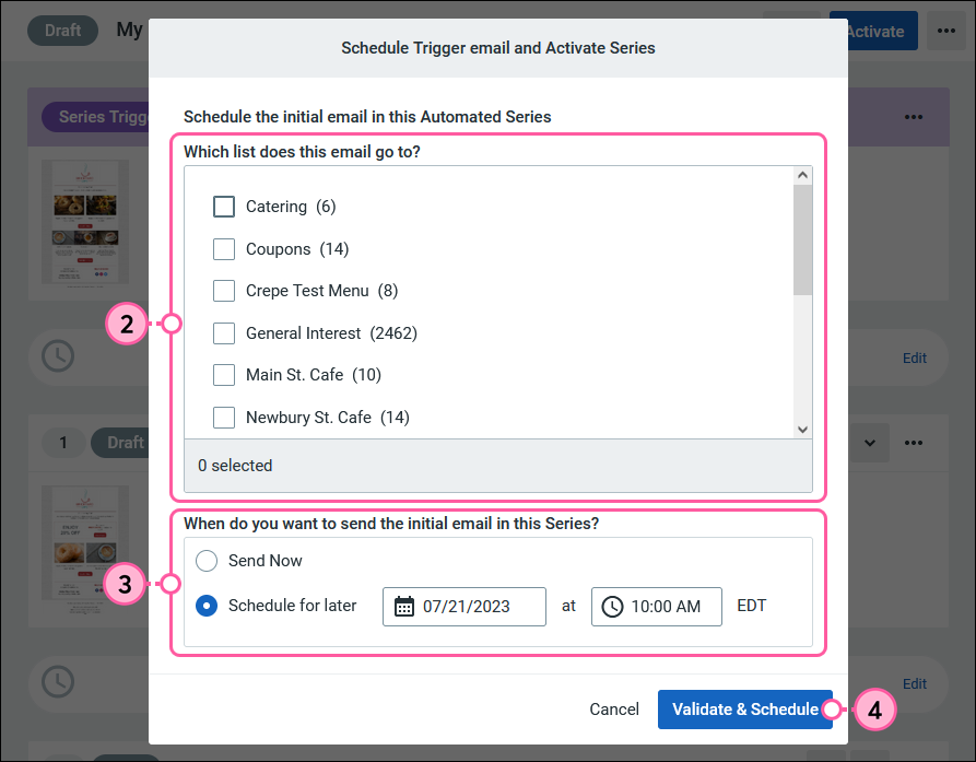 Screenshot of the Schedule Trigger email and Activate Series window.