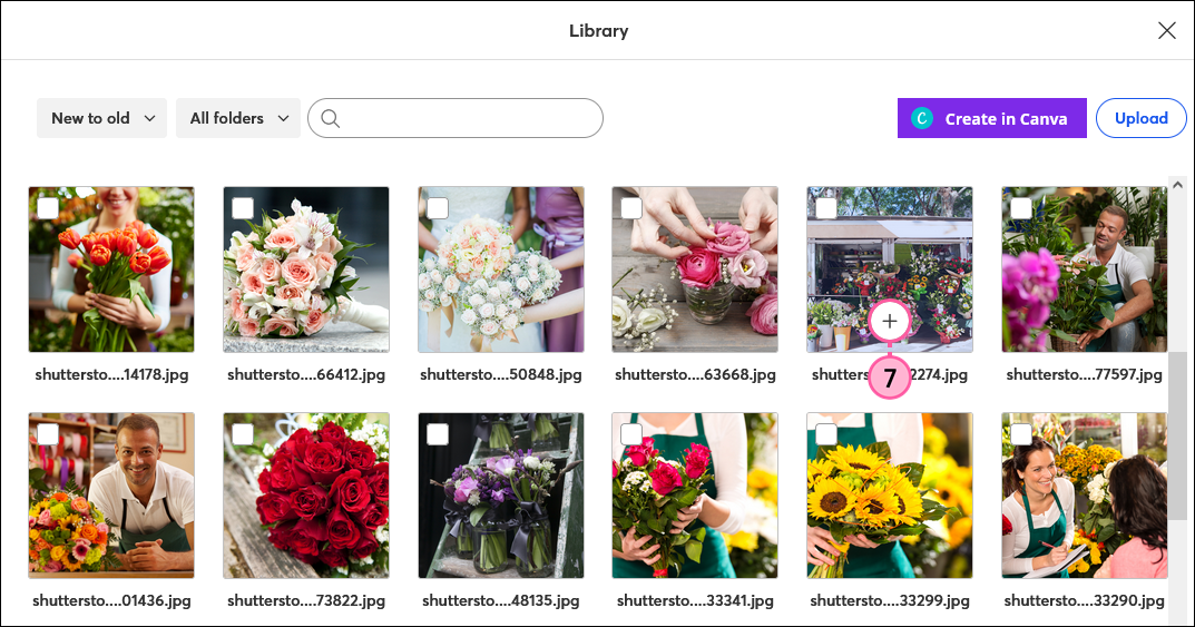 Overlay Bibliothek mit Option Einzelnes Bild einfügen