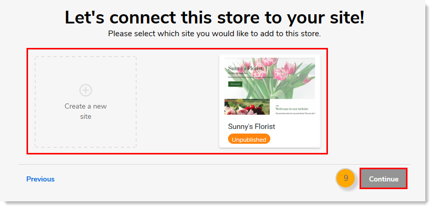 Connect store to existing website or create a new site option, Continue button
