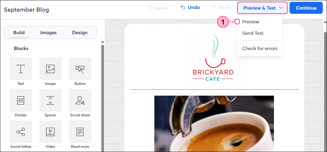 Preview & Test dropdown with Preview option