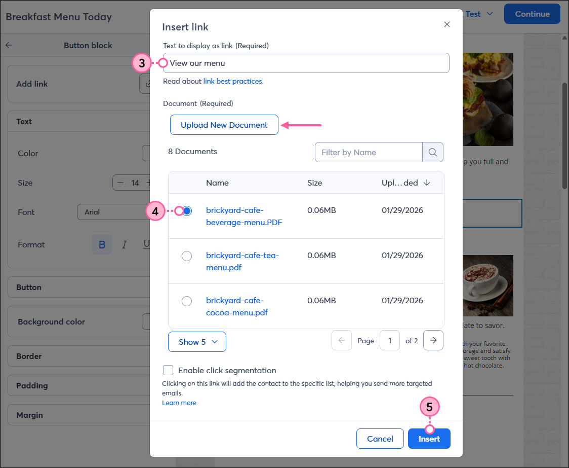 Button Text Field, Document Option, and Insert Button