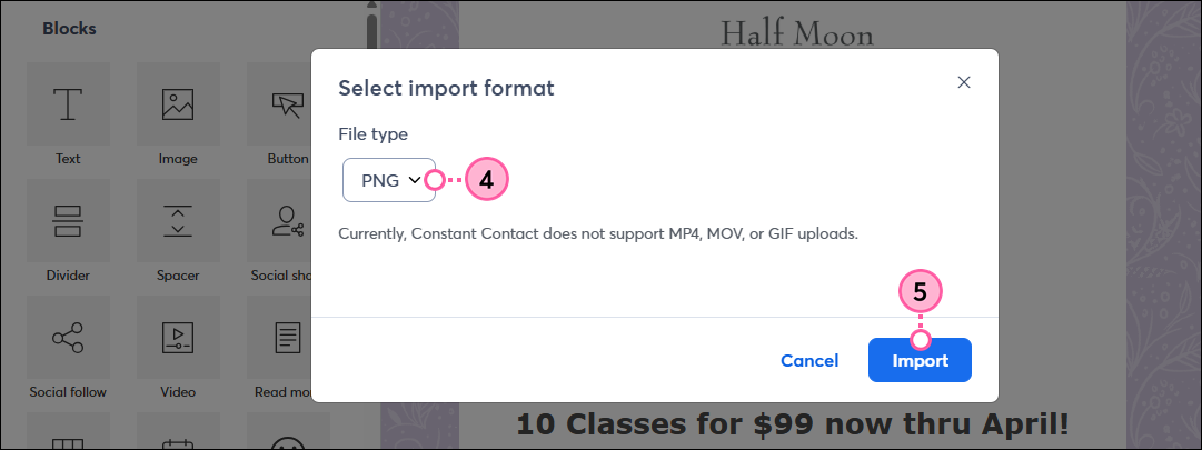 Email editor with Select Import Format pop-up, File Type drop-down, and Insert button