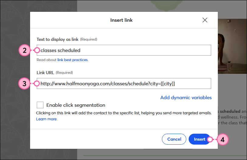 Pop-up-Fenster Link einfügen, Felder Text und Link-URL und Schaltfläche "Insert" (Einfügen)