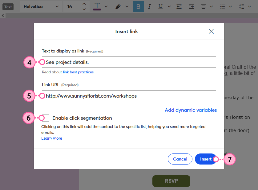 Fenêtre Insert Link (Insérer un lien) de l’éditeur d’e-mails avec champ Text to display as link (Texte à afficher comme lien), champ Link URL (URL du lien), option Click Segmentation (Segmentation des clics) et bouton Insert (Insérer)