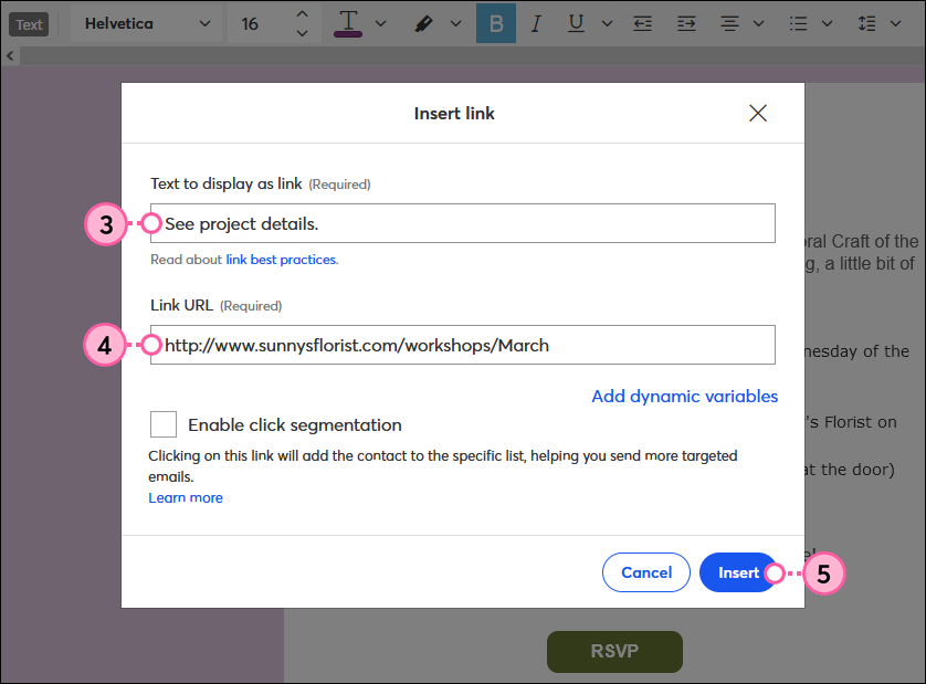 Fenêtre Insert link (Insérer un lien) de l’éditeur d’e-mails avec champ Link URL (URL du lien) et bouton Insert (Insérer)