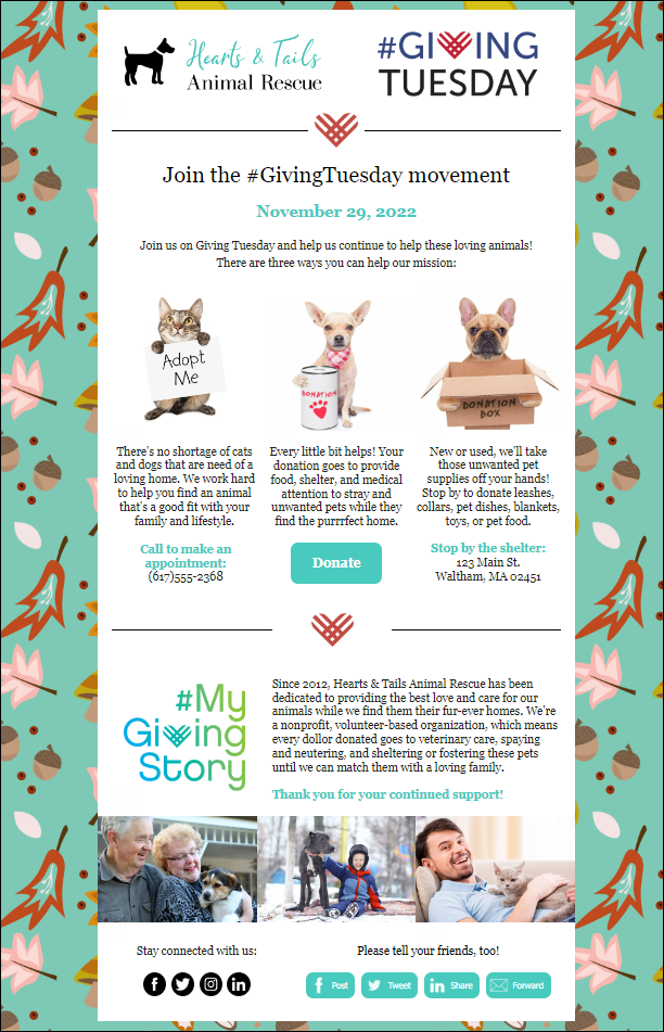 Giving Tuesday Email Example with Donation Button