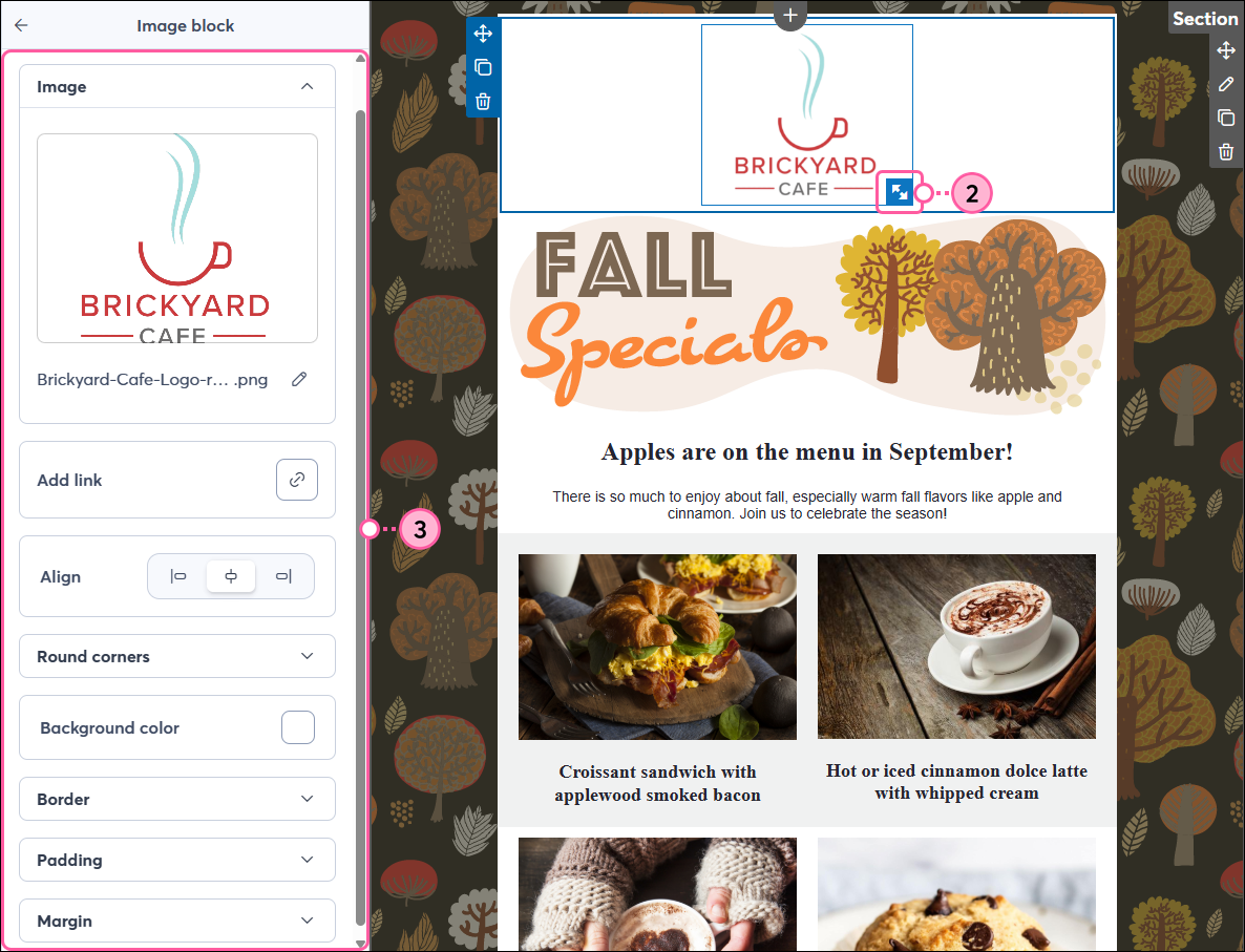 Email editor with Images tab selected, Upload images button, and Image block with Image toolbar expanded