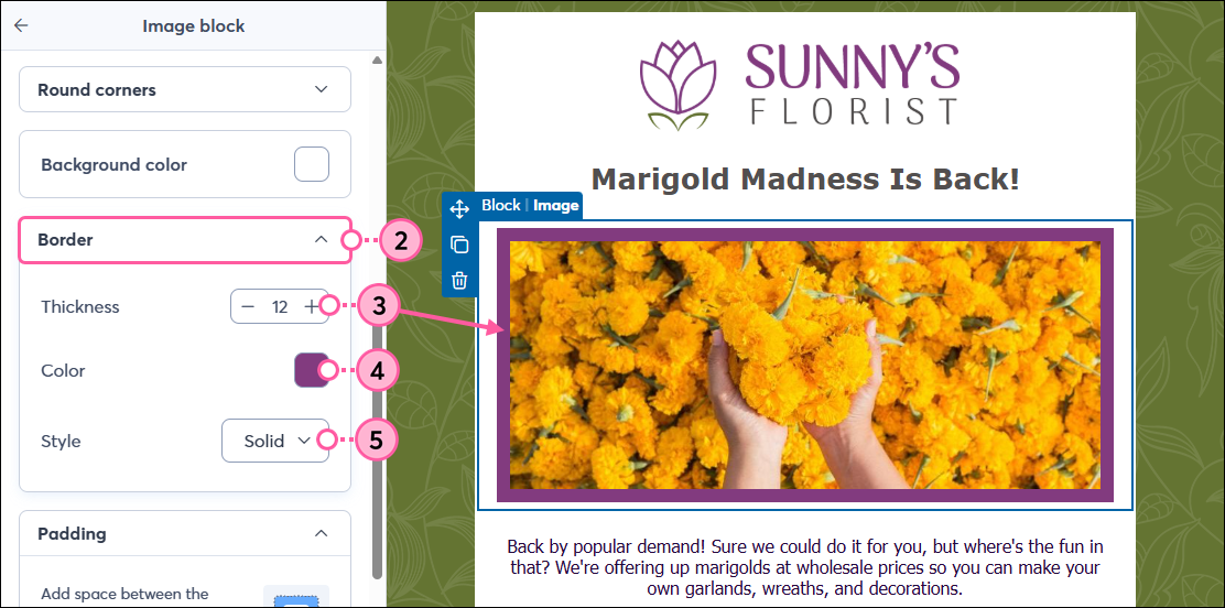 Panel Image block (Bloque de imagen) con opciones de Border (Borde)