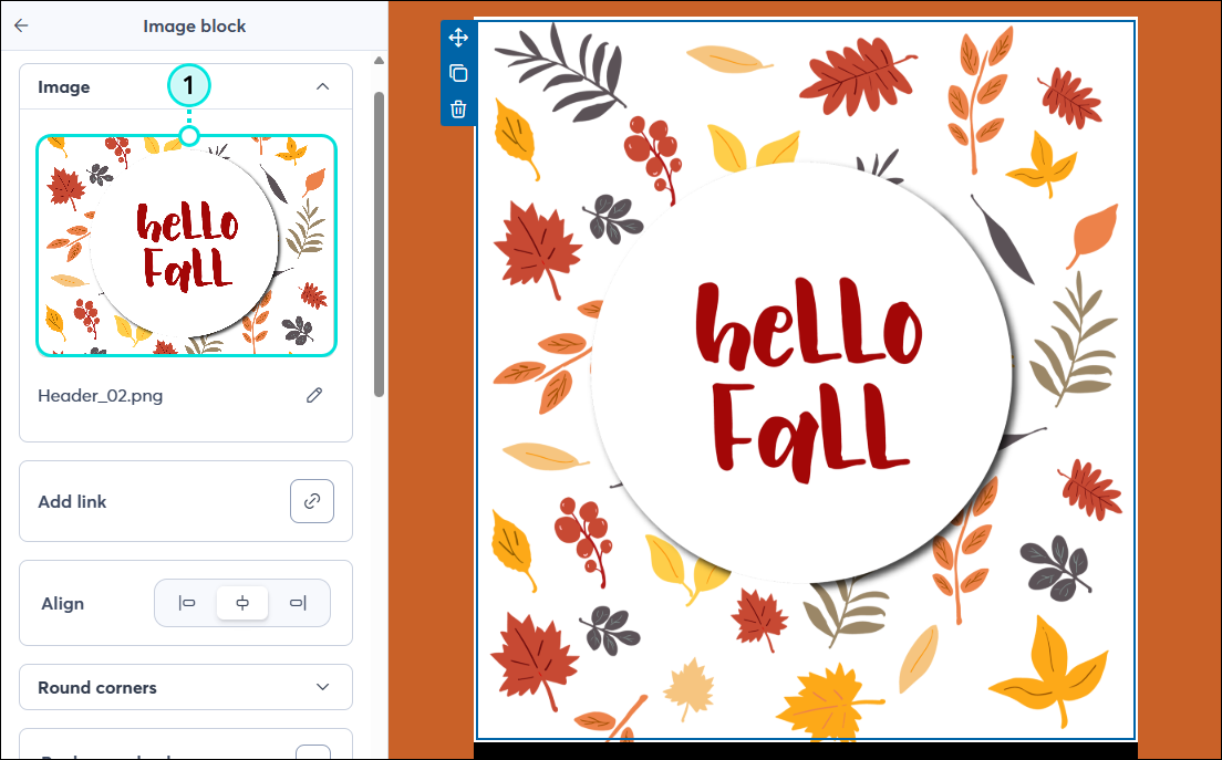Email editor with Image block panel and image selected