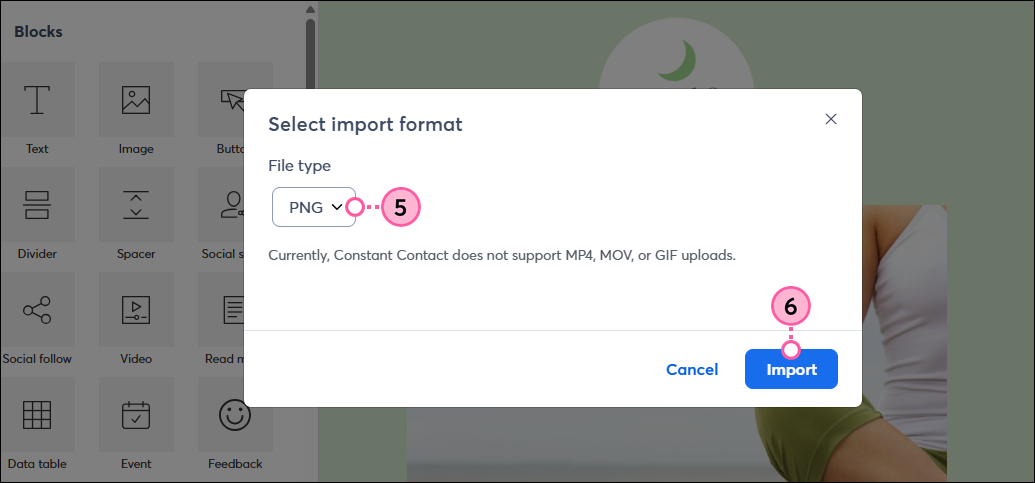 Select Import Format pop-up with File type drop-down and Import button