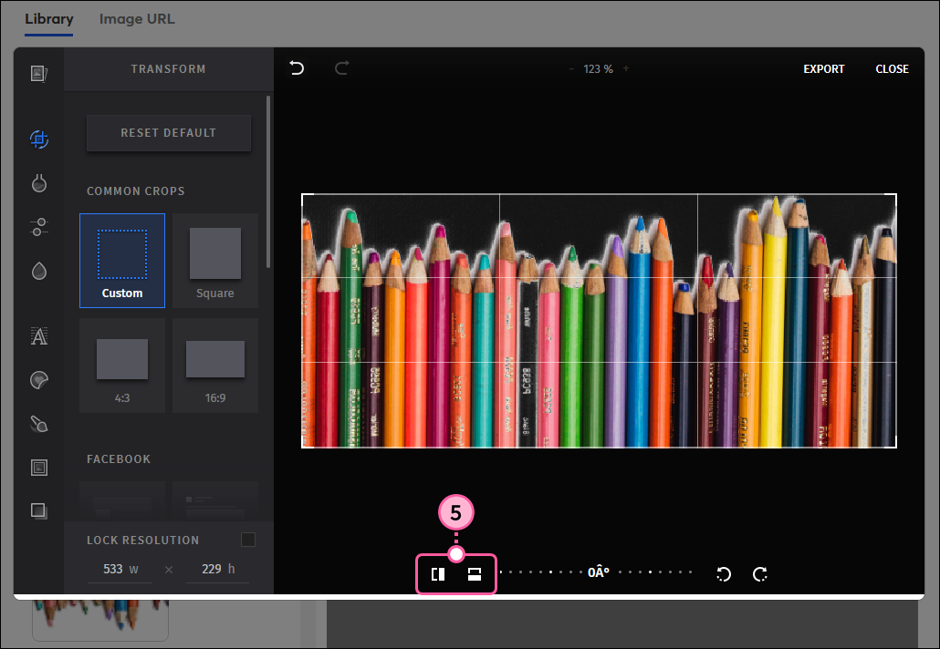 Image editor with Transform option selected, image flipped vertically with flipping controls