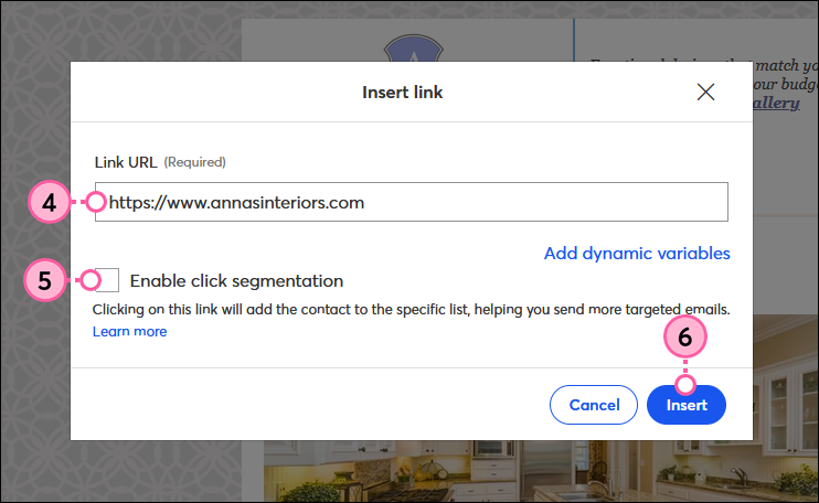 URL-Feld, Option zur Klick-Segmentierung und Schaltfläche Insert (Einfügen)