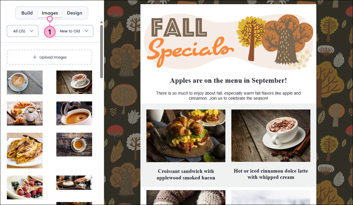 Email editor with Images tab selected