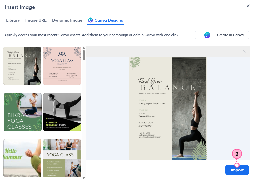 Insert Image pop-up, Canva Designs tab, image selected, and Import button