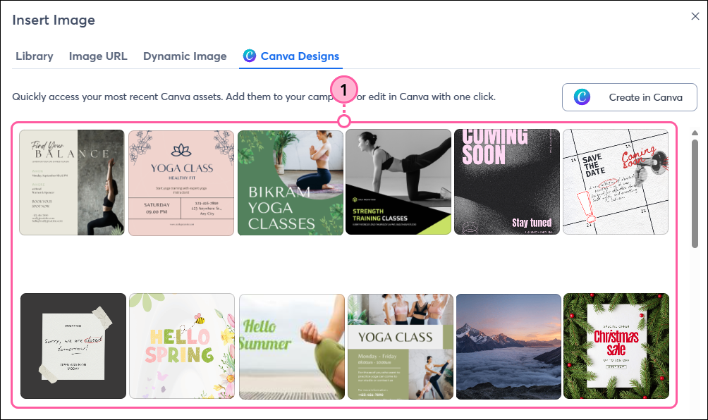 Insert Image pop-up, Canva Designs tab, and Canva images to select