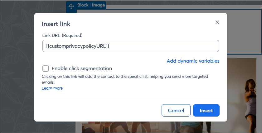 Insert Link overlay with custom privacy policy variable in Link field