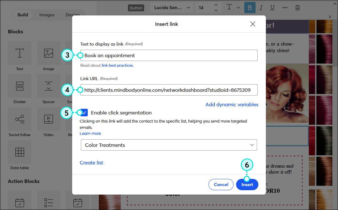 Insert Link overlay with Text to display as link field, Link URL field with MINDBODY url, Enable Click Segmentation option selected and email list selected, and Insert button