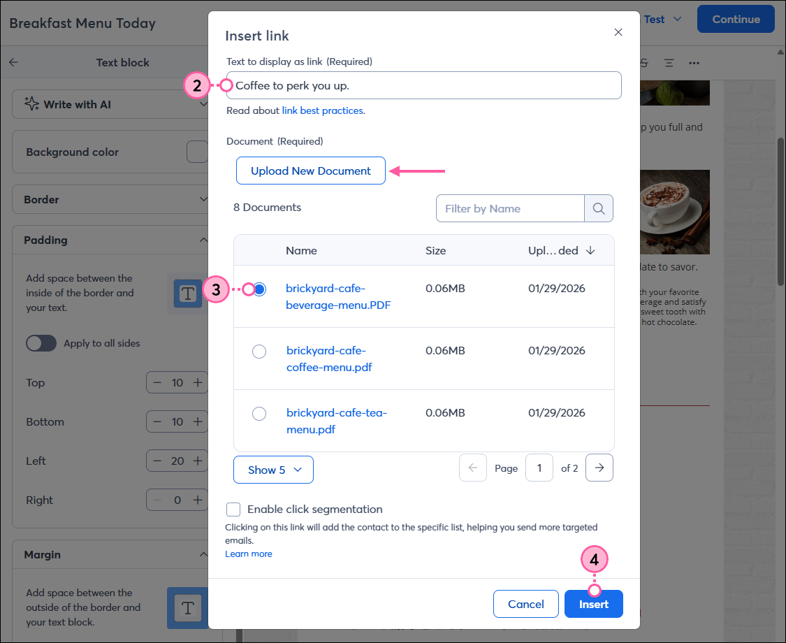 Link Text Field, Upload New Document button, Select Document Option, and Insert Button