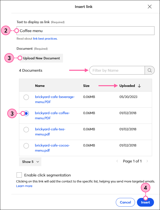 Feld Link Text, Schaltfläche Upload New Document (Neues Dokument Hochladen), Option Document (Dokument) und Schaltfläche Insert (Einfügen)