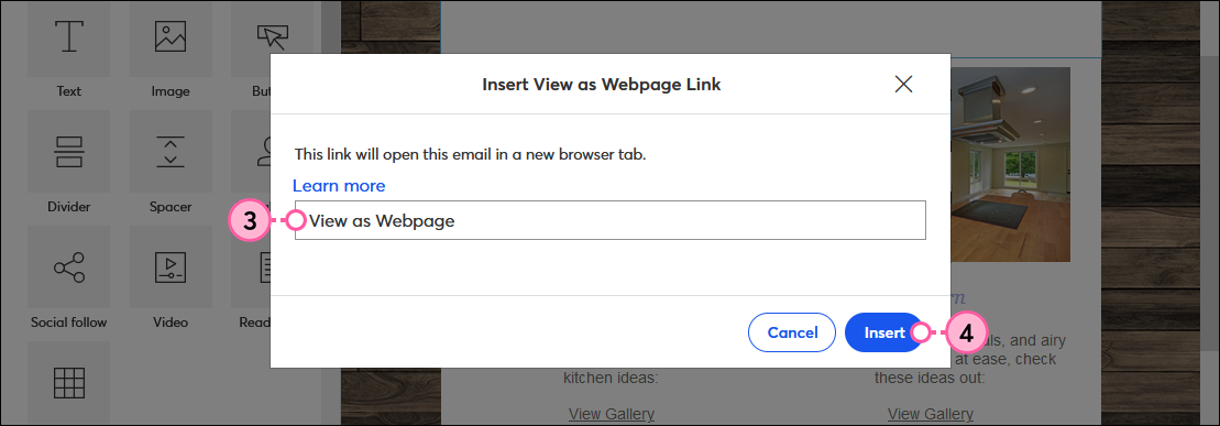 Insert View as Webpage Link overlay with Text to Display field and Insert button