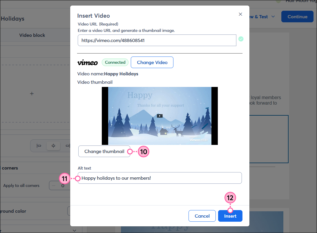 Enter Alt Text and Insert Video