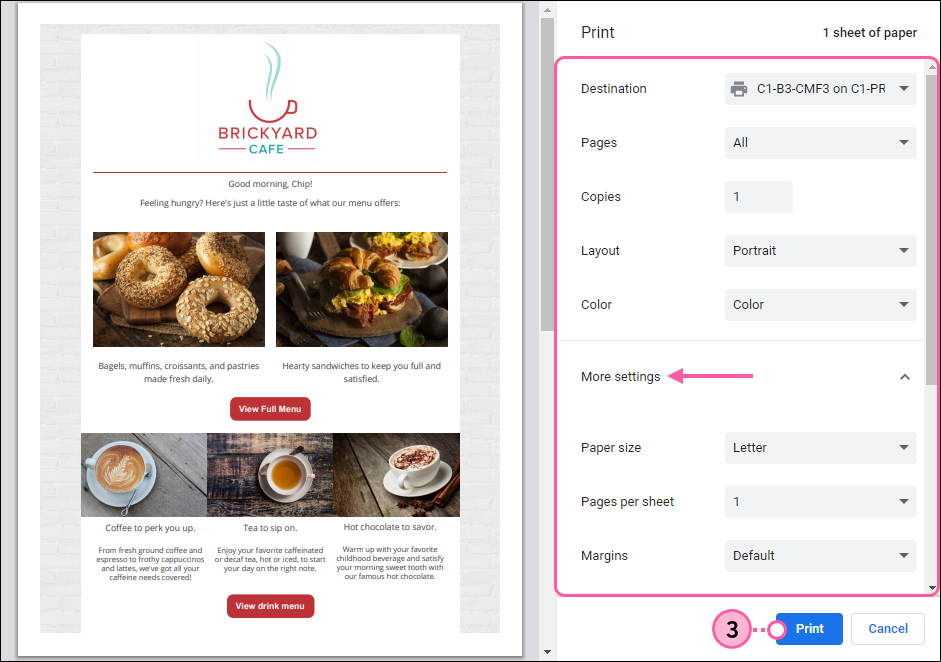 Print Preview and Print options