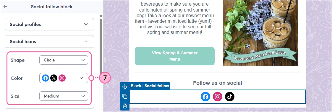 Panel izquierdo del bloque Social Follow con opciones de tamaño, color y forma