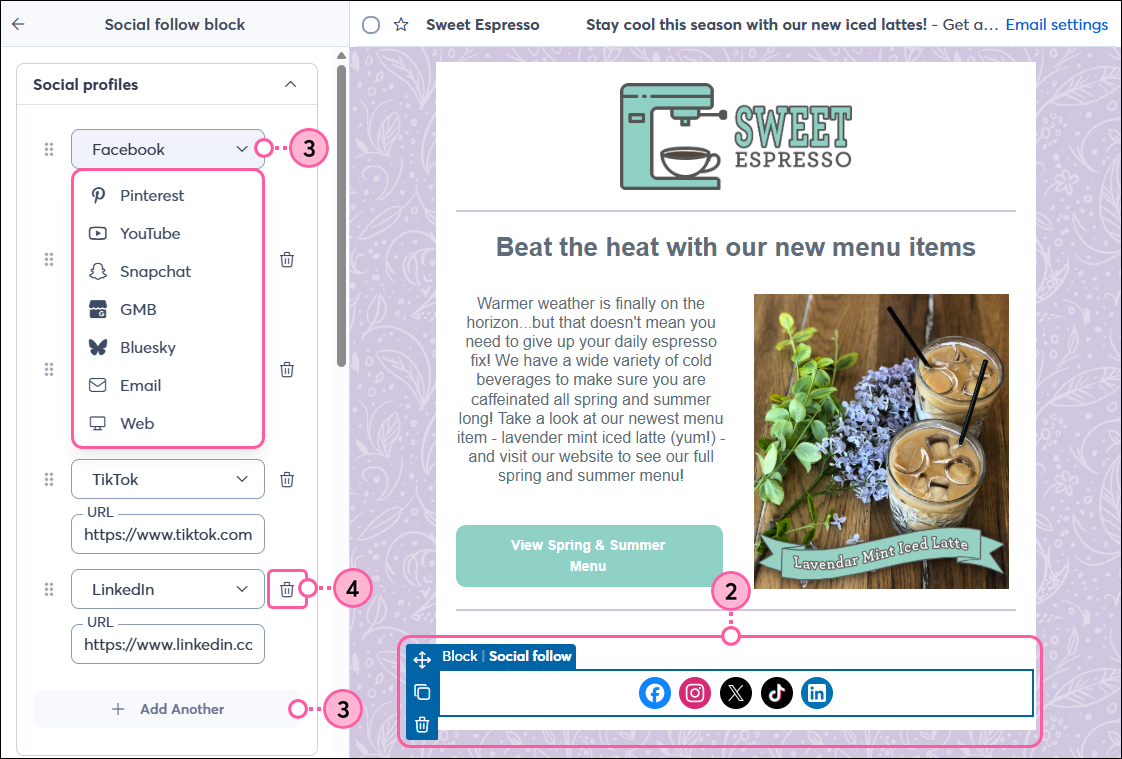 Panel izquierdo del bloque Social Follow con opciones de Social Profile (Perfil de redes sociales)