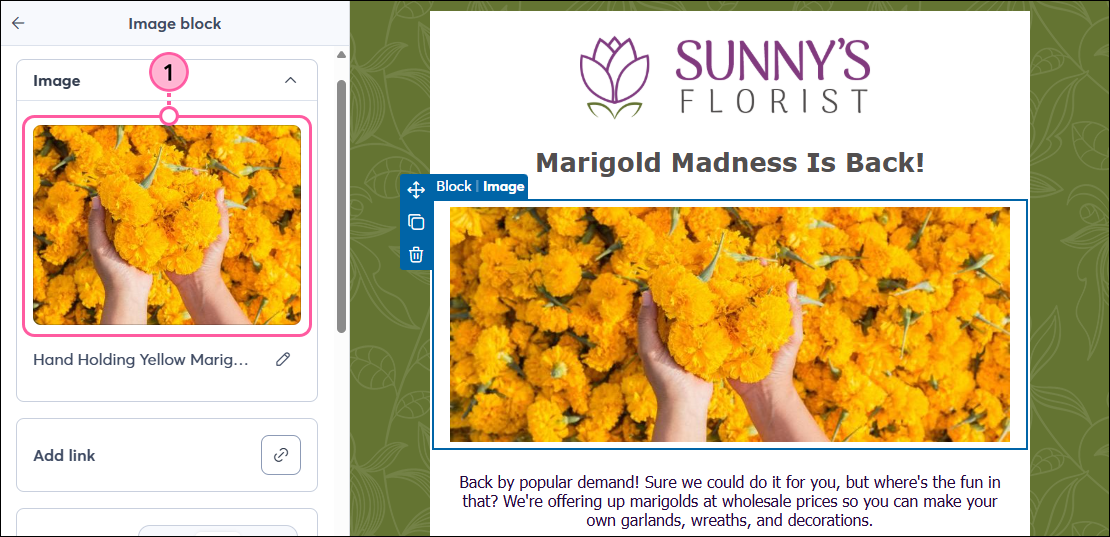Editor de correo electrónico con el panel del bloque de imagen y la imagen seleccionada
