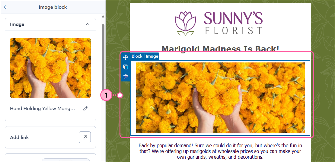 Editor de correo electrónico con Image block (Bloque de imagen) seleccionado