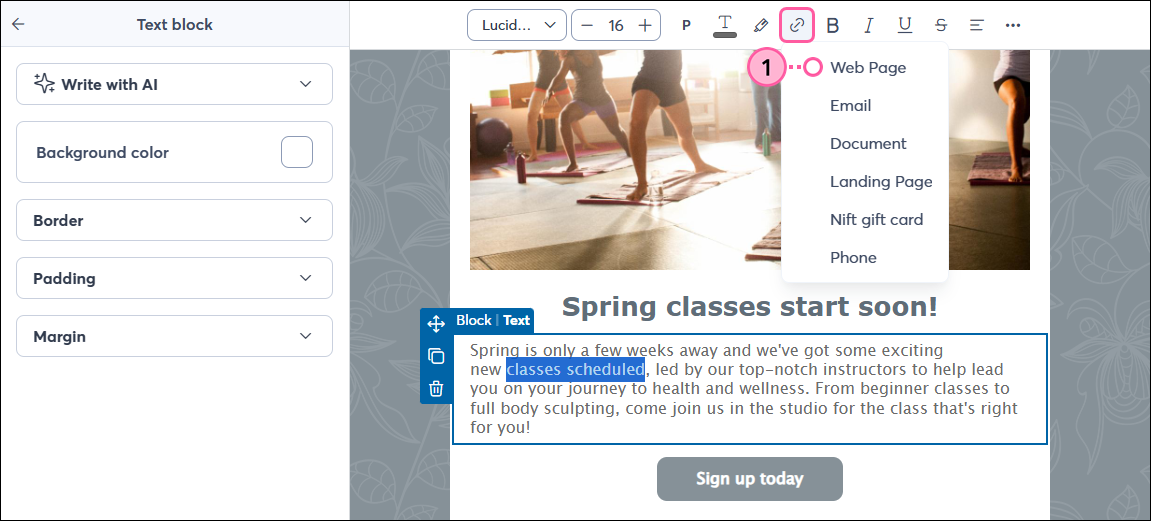 Text Toolbar, Link drop-down, and Web Page option