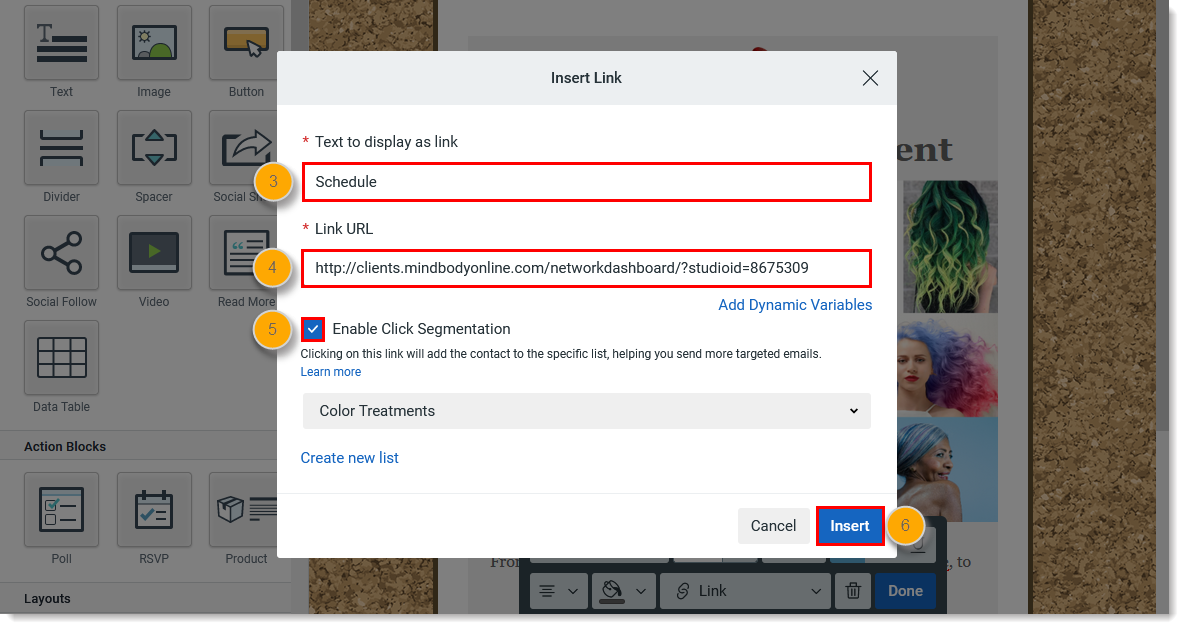 Overlay Link Einfügen im E-Mail-Bearbeitungsprogramm mit Text zur Anzeige als Feld Link, Link-URL, Feld mit MINDBODY-URL, Option Klick-Segmentierung und Schaltfläche Einfügen