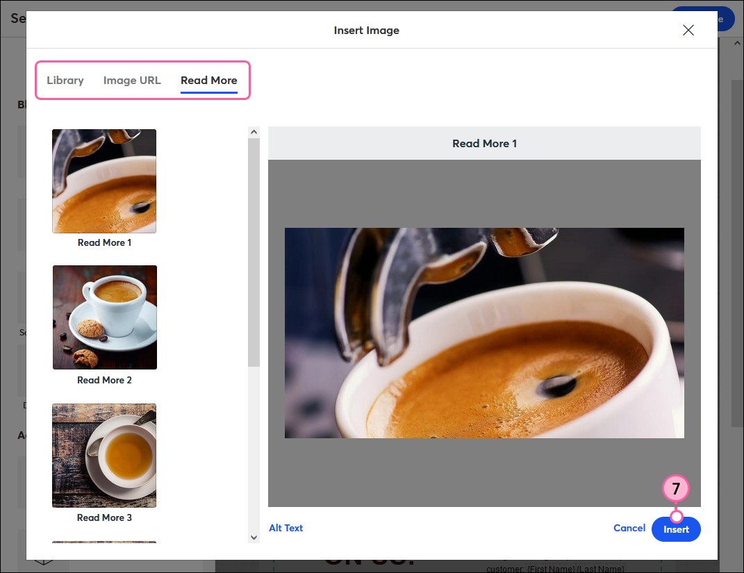 Insert Image overlay with Library, Image URL, and Read More tabs, image selected, and Insert button