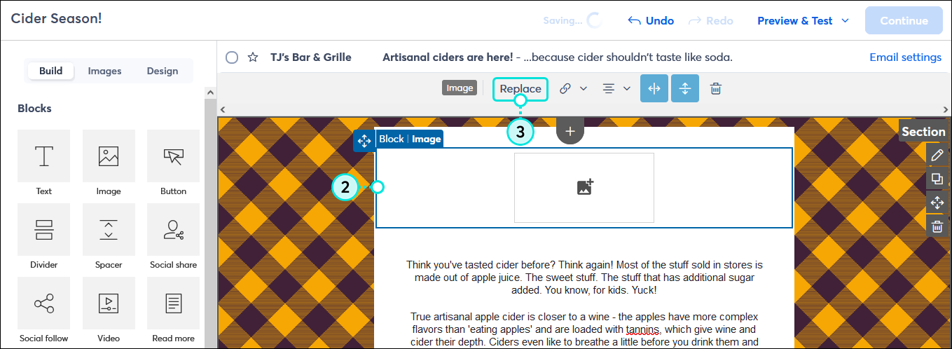 Email editor with Image block with image placeholder, and Image toolbar with Replace button selected