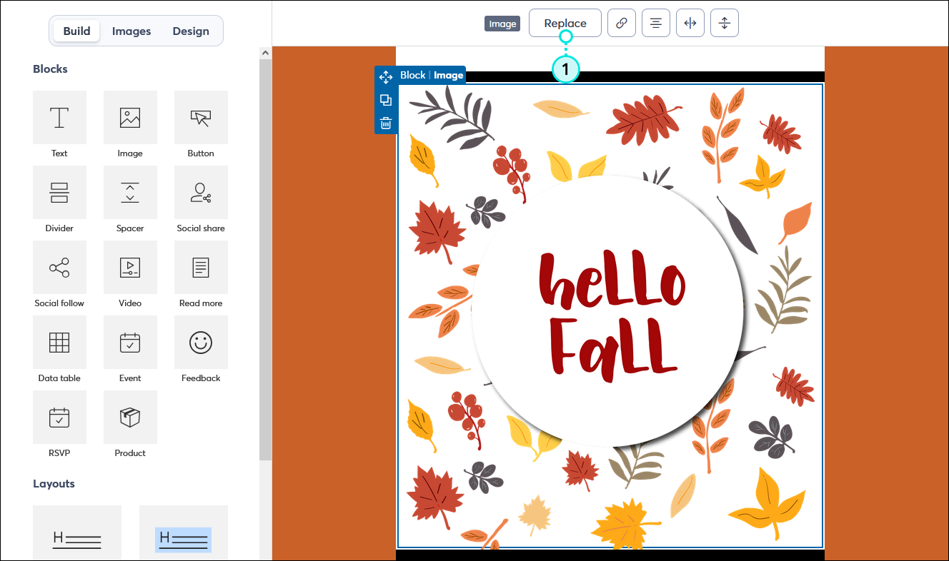 Email editor with Build option selected, template with image and Image toolbar expanded, and Replace button