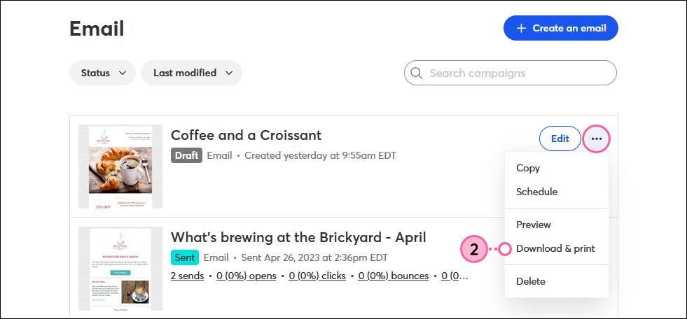Email page, Draft Email, More drop-down, and Download and Print option