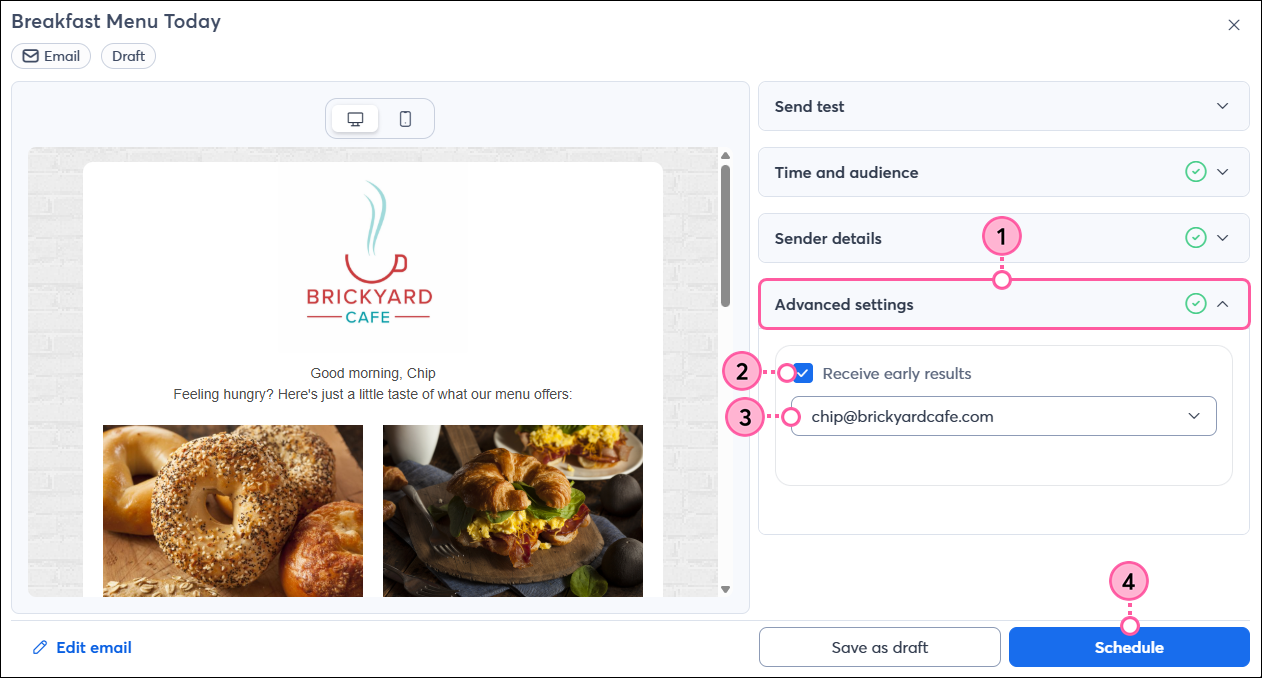 Email schedule page, Advanced Settings section expanded, Early Results Option and Email Drop-down Menu, and Schedule Button