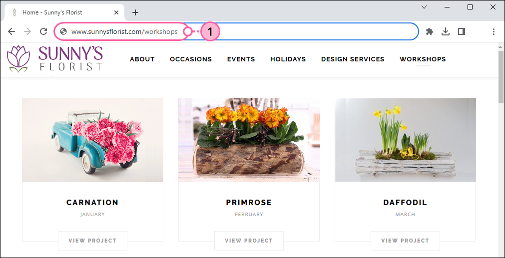 URL du site Web dans le navigateur