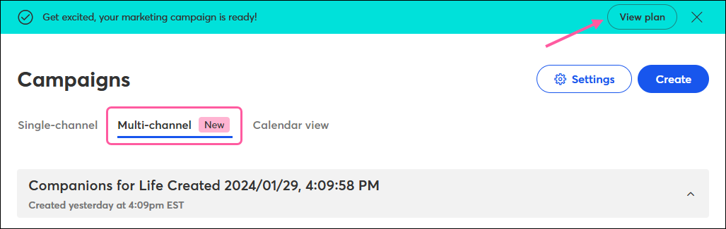 Campaign Builder tab with success banner and View Plan button