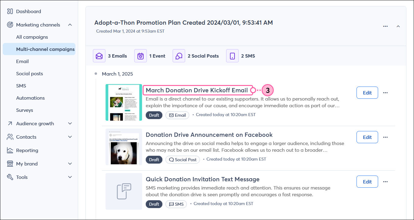 Multi-channel campaign expanded and draft email name selected