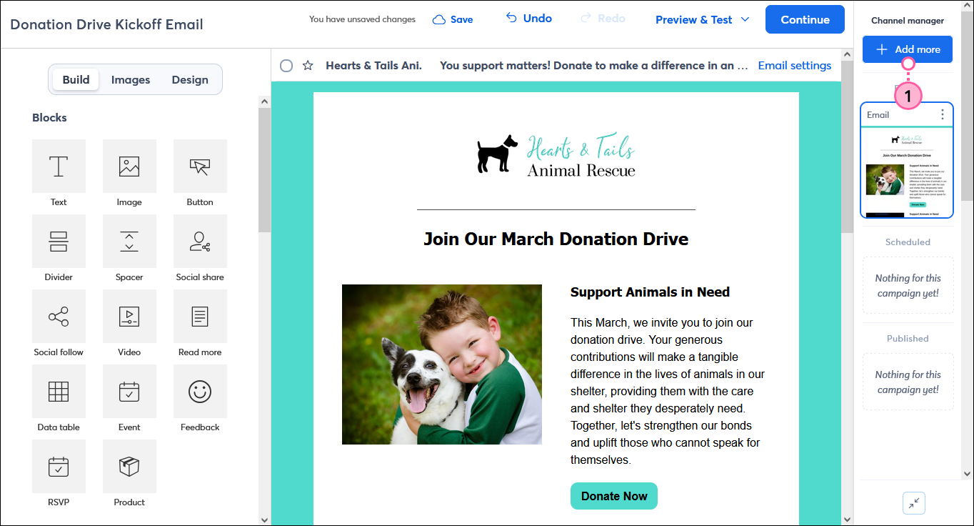 Email editor with Channel Manager and Add More button