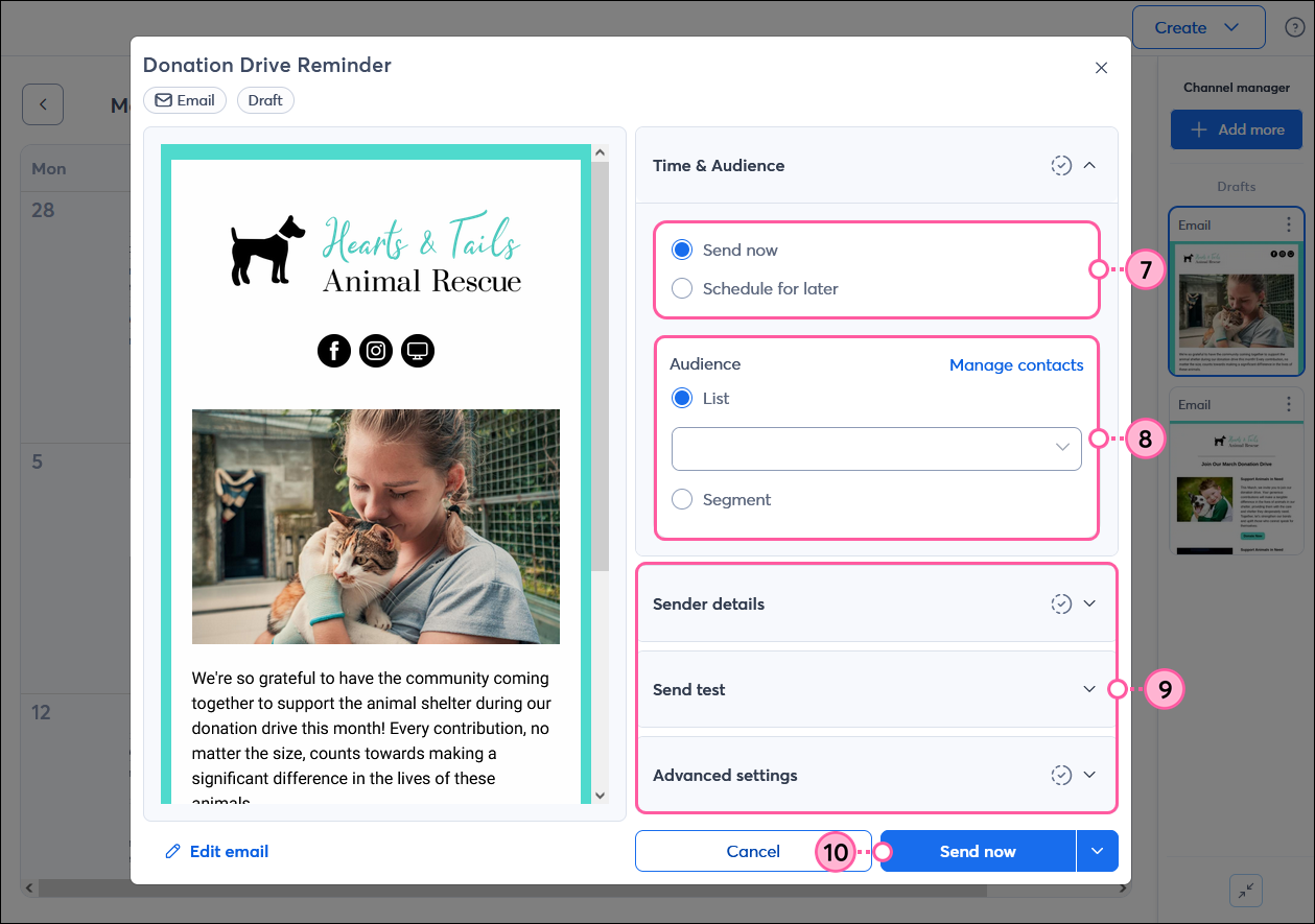 Schedule email options, time and audience, sender details, send test, advanced settings, and Send now button