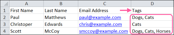 Example Spreadsheet with Tags Column and Multiple Tags
