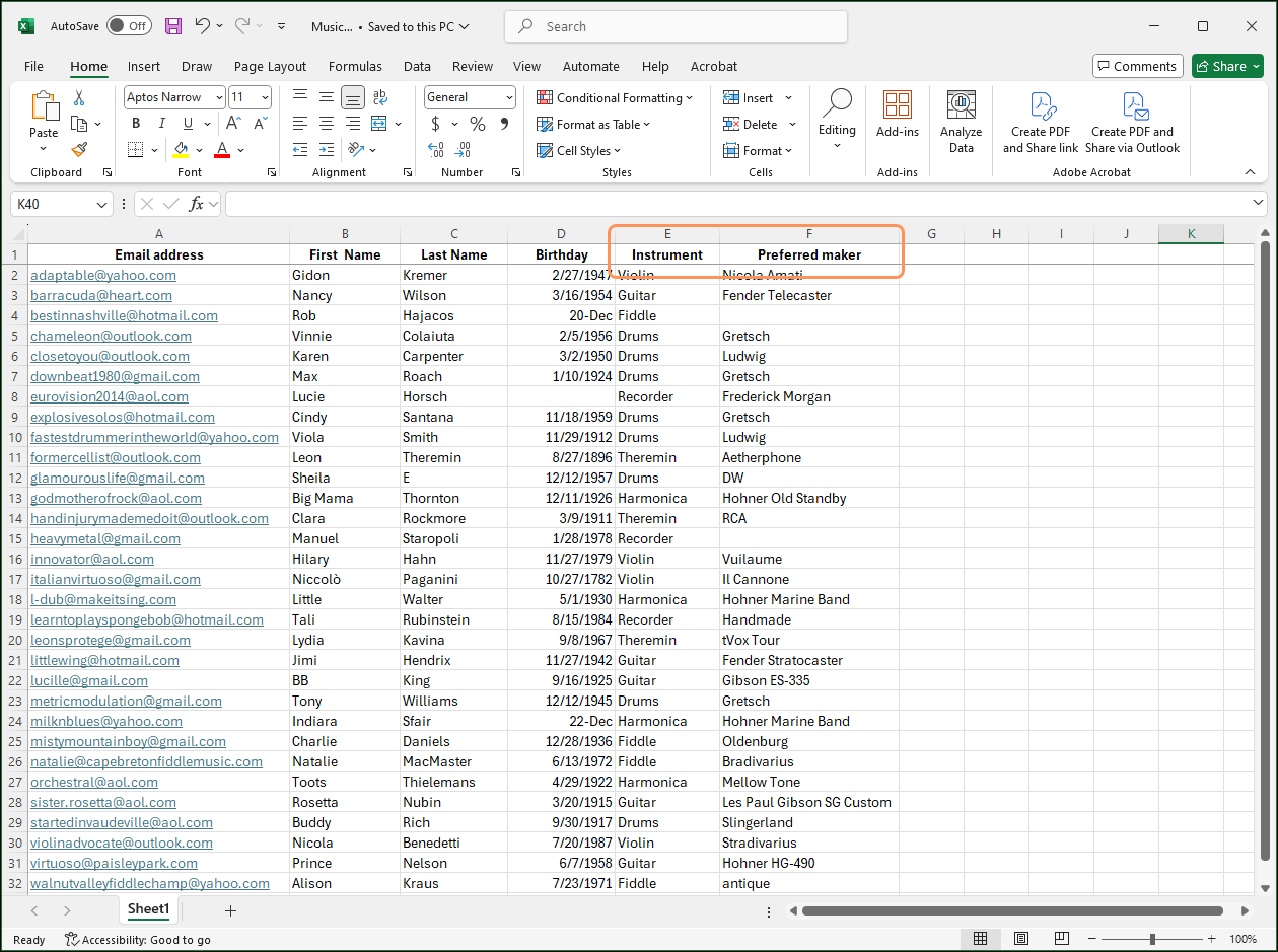 Example Excel spreadsheet with custom field columns