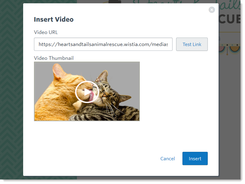 Insert Video URL